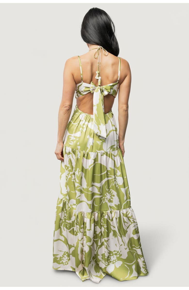 Baltic Børn Querida Maxi Dress, Alternate, color, Green Floral