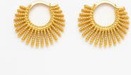 Ivy & Pearl Co. The Solaria Radiant Hoops