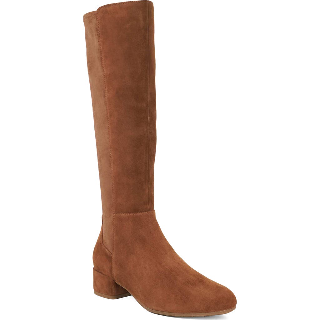 Dune London Tayla Knee High Boot In Brown
