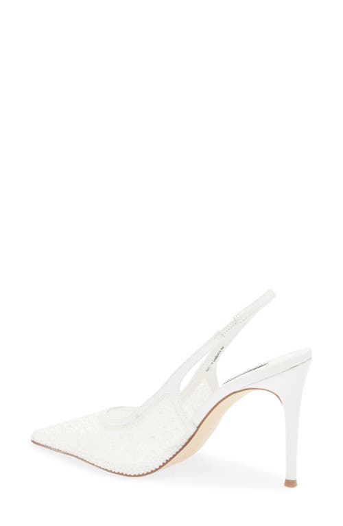 STEVE MADDEN STEVE MADDEN REYES POINTED TOE SLINGBACK PUMP 
