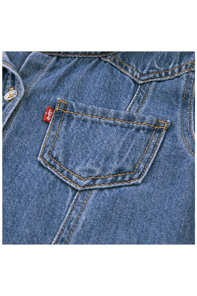 Western Denim Shirtdress, Alternate, color, DREW ME IN