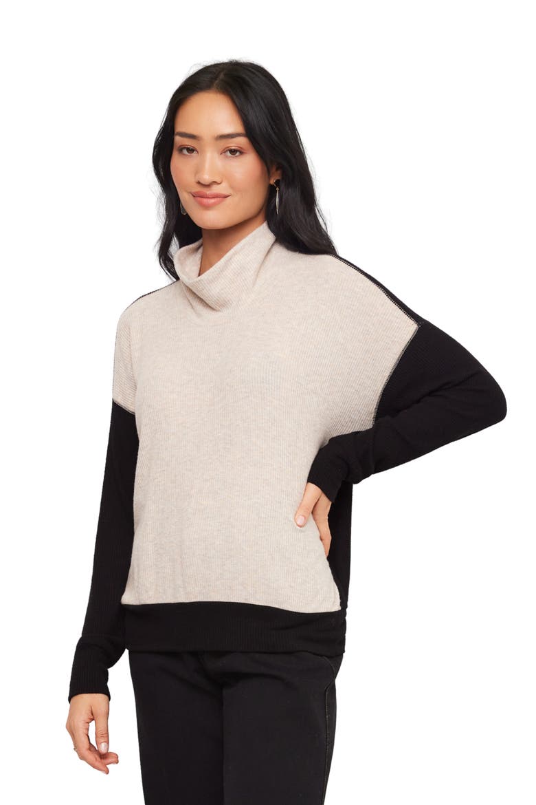 Colorblock Turtleneck Sweater, Alternate, color, OATMEAL W/ BLACK
