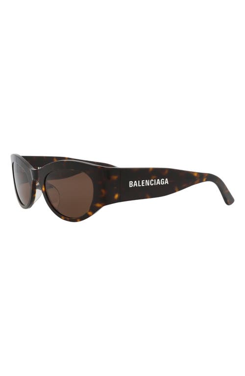 Balenciaga 54mm Cat Eye Sunglasses In Brown