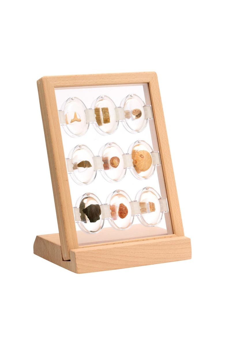 Kaplan Early Learning Company Specimen Stones Fossils - 9 Stones, Alternate, color, Multicolored