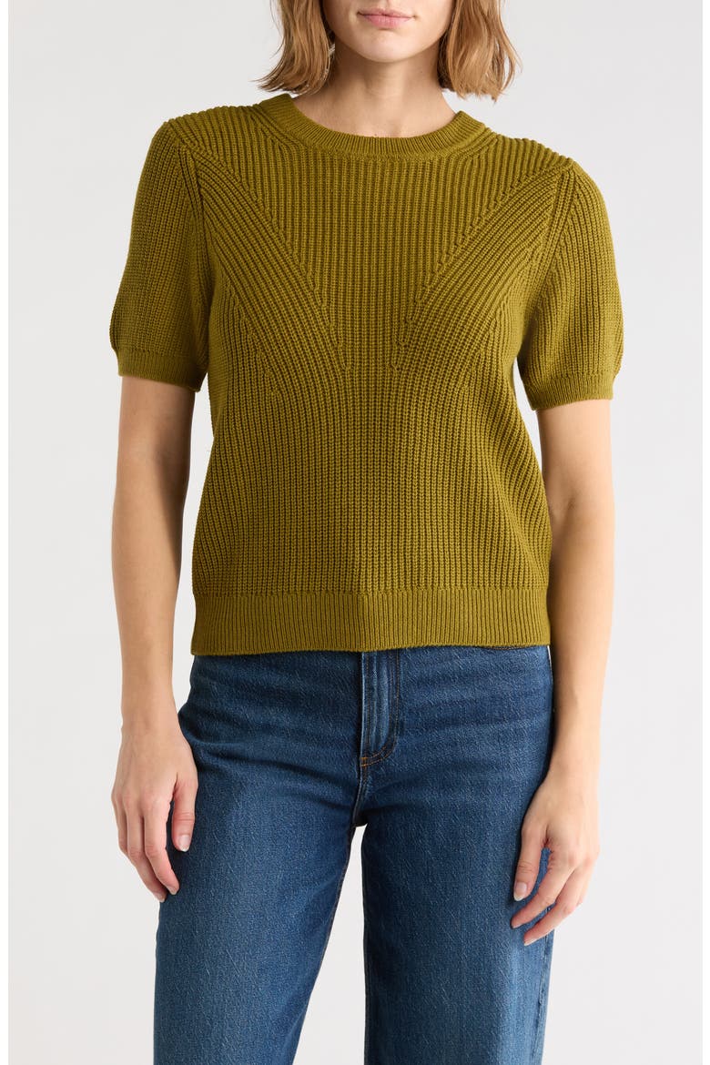 Ribbed Crewneck Short Sleeve Sweater, Main, color, BASIL