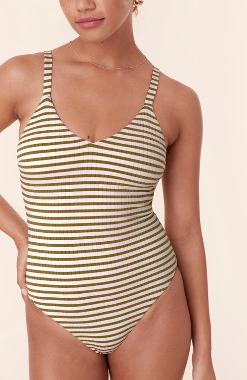 Andie The Marco One-piece Swimsuit In Iguana
