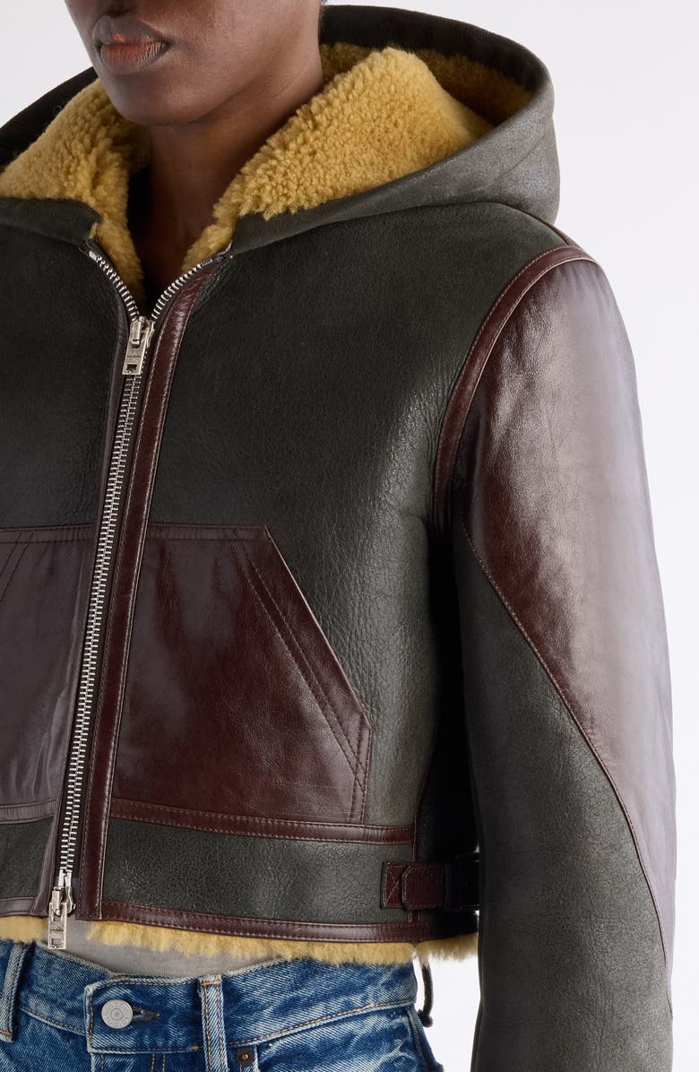 Acne Studios Litera Genuine Shearling & Leather Hooded Jacket, Alternate, color, Brown/ Beige