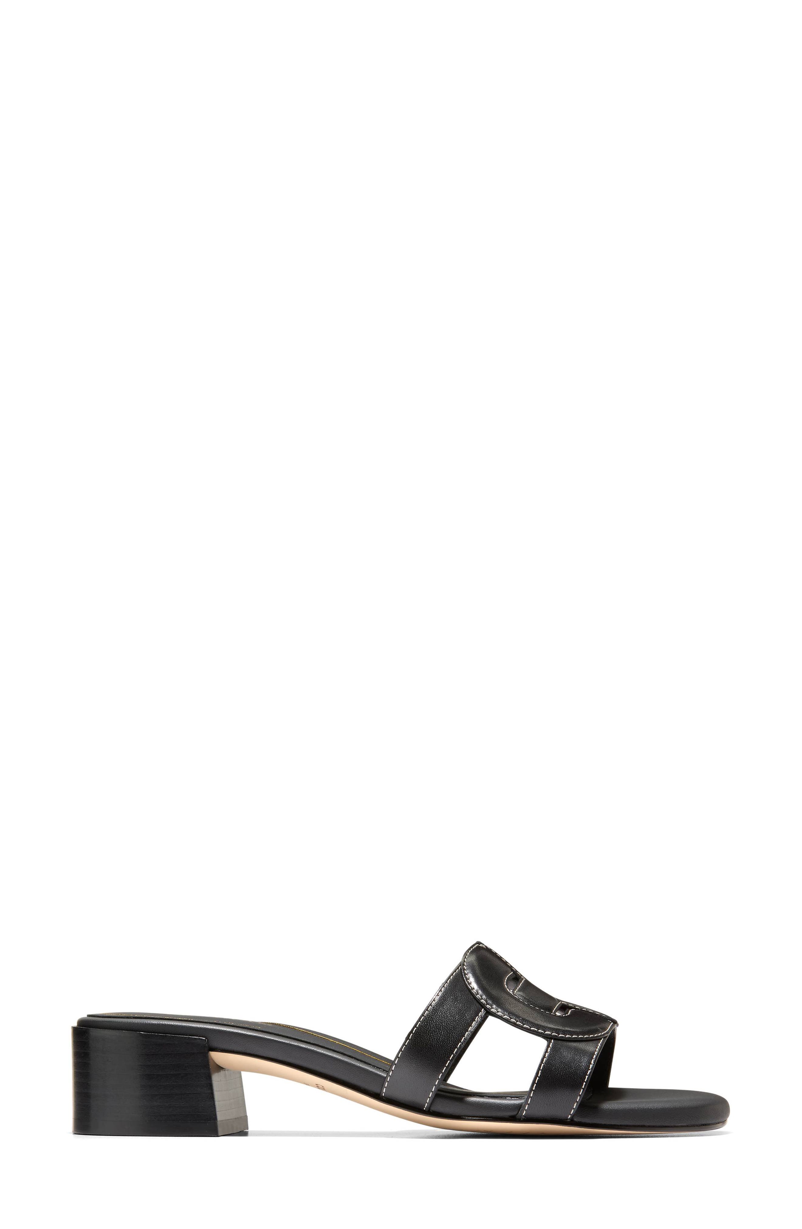 Cole Haan Chrisee Block Heel Slide Sandal, Alternate, color, 