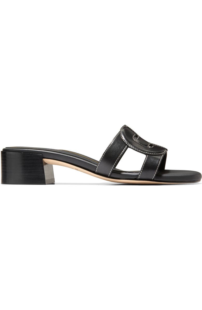 Cole Haan Chrisee Block Heel Slide Sandal, Alternate, color,