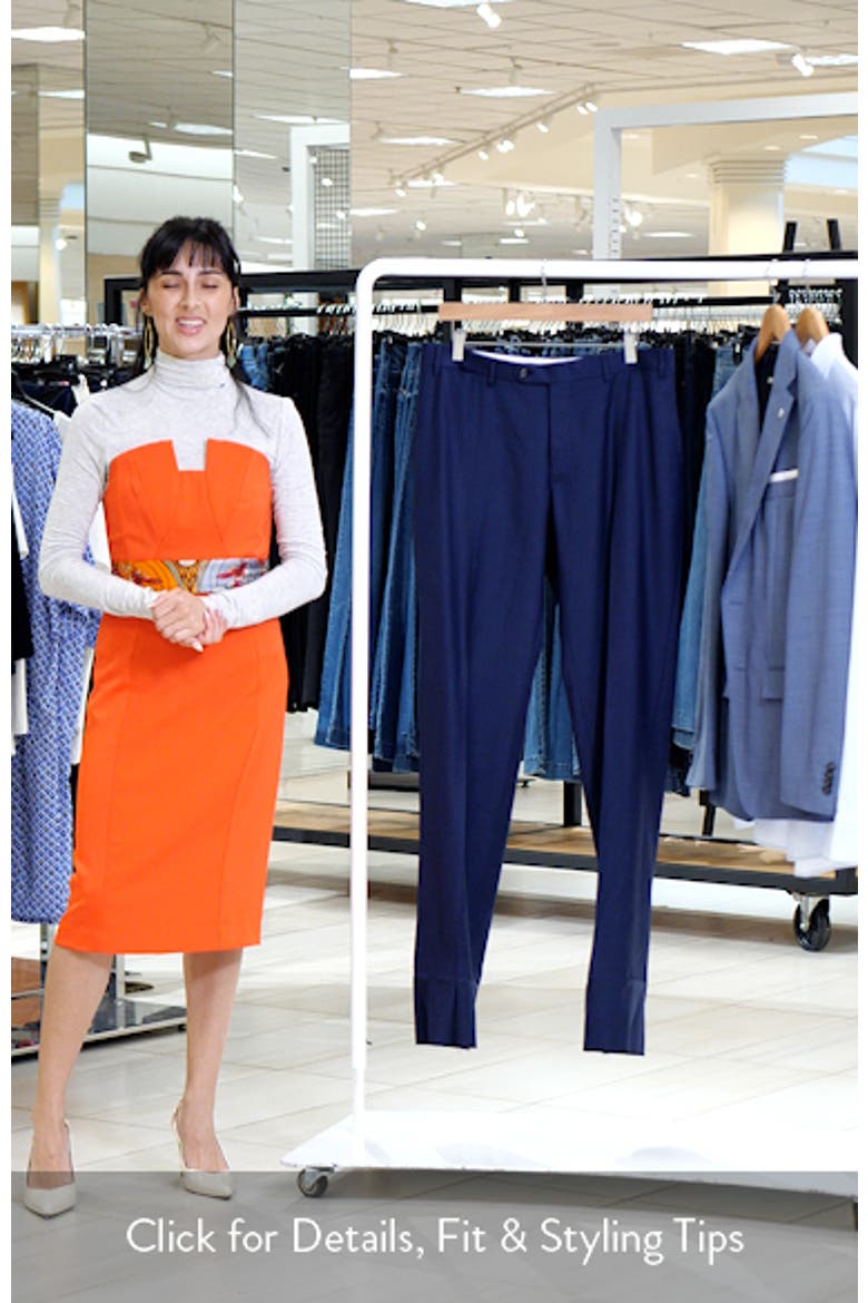 Siena Regular Fit Flat Front Solid Wool Suit Pants video