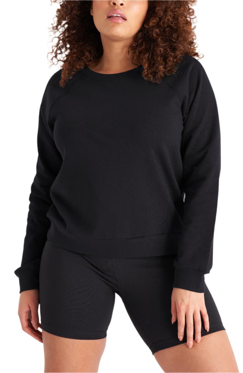 The Standard Stitch The Raglan Sweatshirt, Main, color, Vintage Black