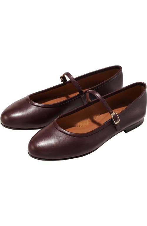 Margaux The Demi Jane In Purple