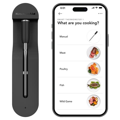 Smart Thermometer