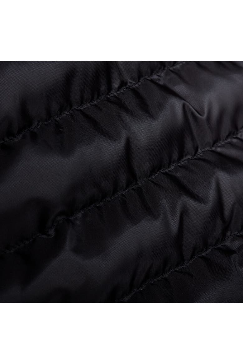 Albula In Hooded Jacket - Men's, Alternate, color, Black