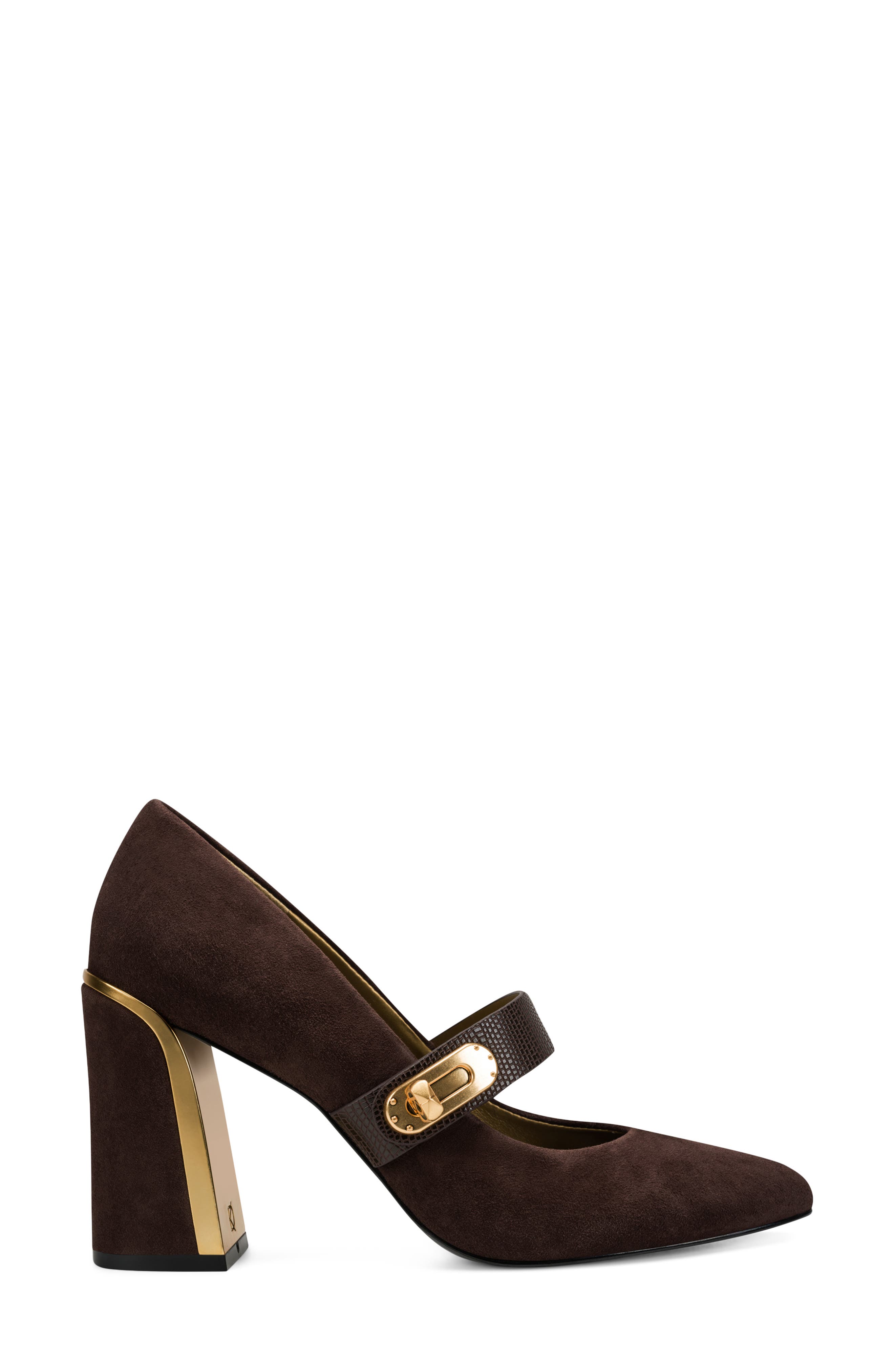 Rosey Pointed Toe Mary Jane Pump, Alternate, color, CANYON