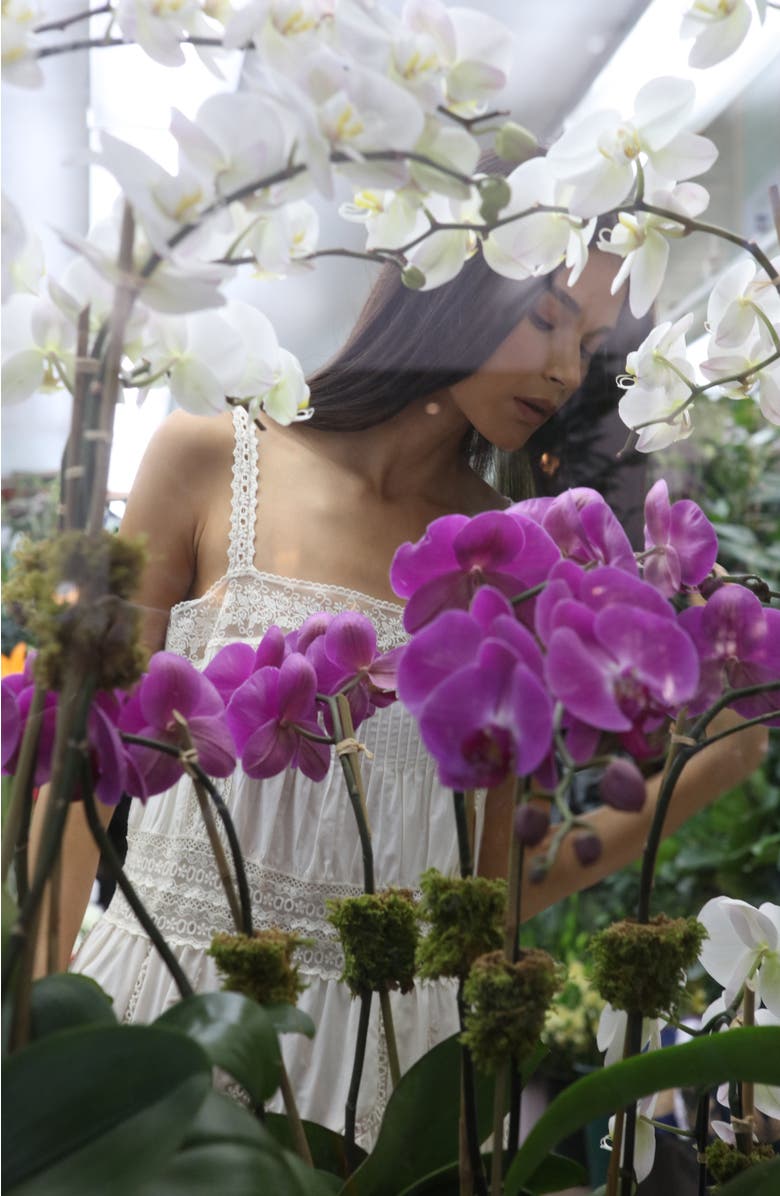 SECRET MISSION Jacques Dress, Alternate, color, Antique Crème