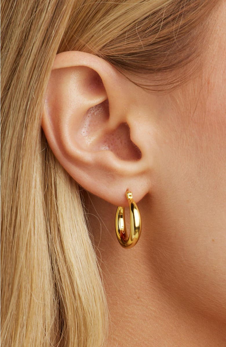 Untamed Petals Nadia Classic Gold Hoops, Alternate, color, Gold