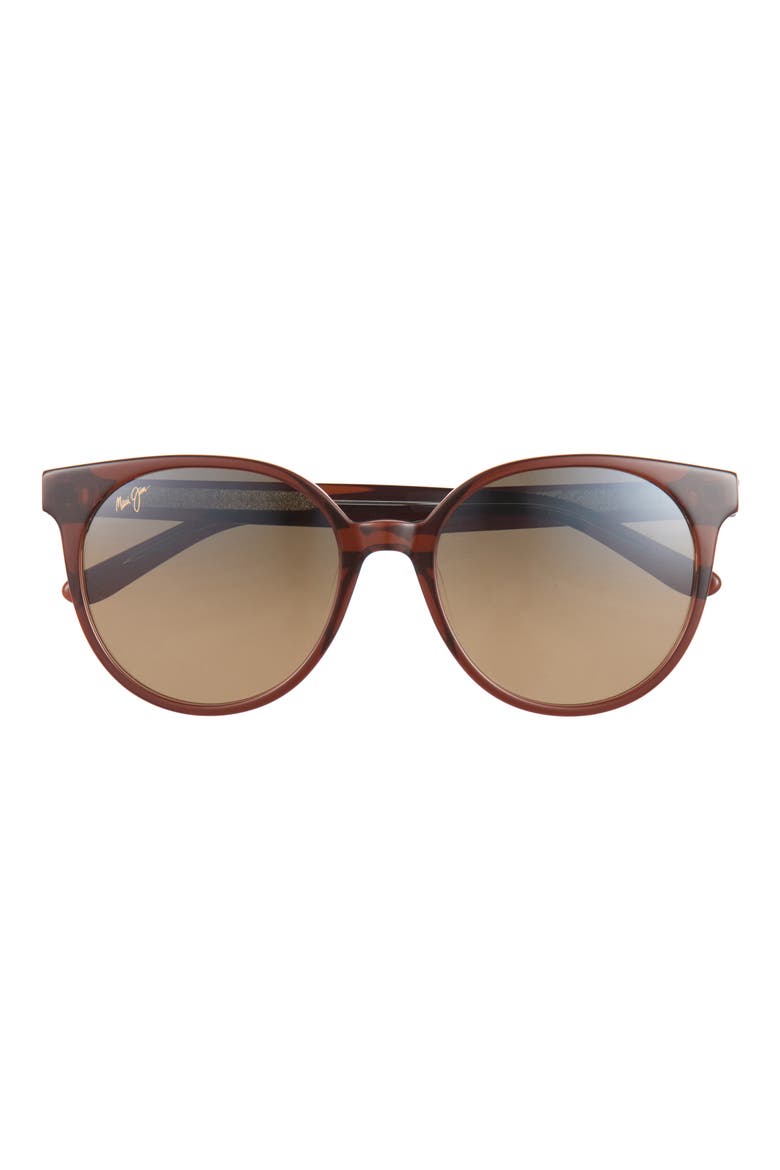 Polarized Round Sunglasses, Main, color, ROOTBEER ROOTBEER BRONZE