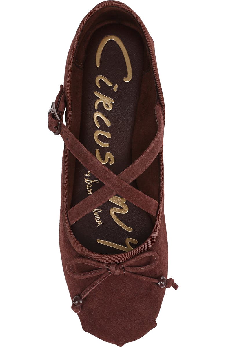 Circus NY by Sam Edelman Zuri Strappy Ballet Flat, Alternate, color, Deep Pecan