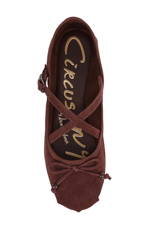 Circus Ny By Sam Edelman Zuri Strappy Ballet Flat In Brown