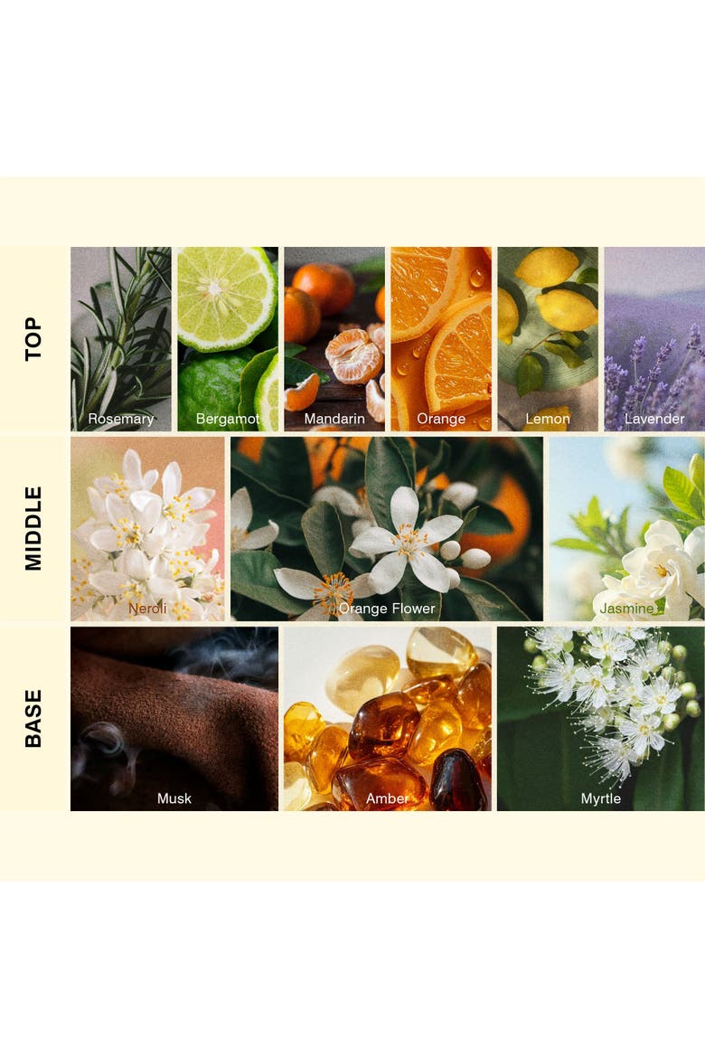 Neroli Home Fragrance Diffuser Oil Refill, Alternate, color, Black Bottle