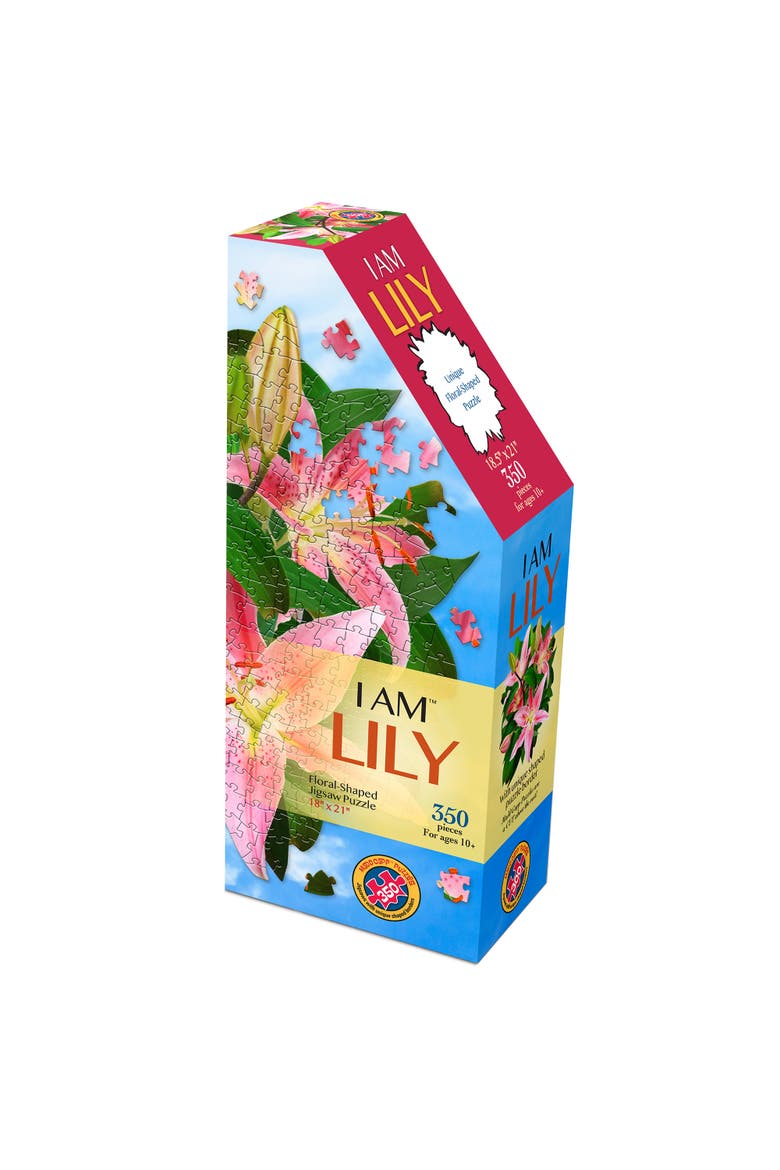 LILY 350 Piece Jigsaw Puzzle, Main, color, Multicolored