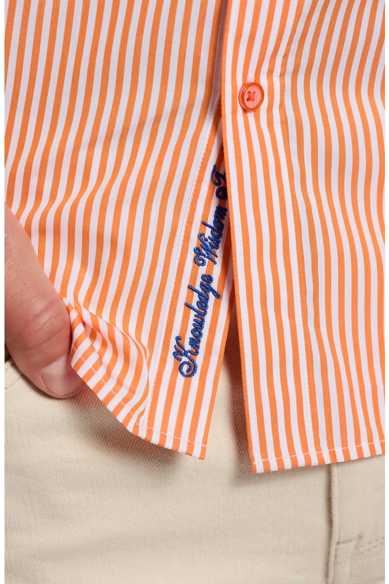 Greenwich Stripe Stretch Button-Up Shirt, Alternate, color, ORANGE