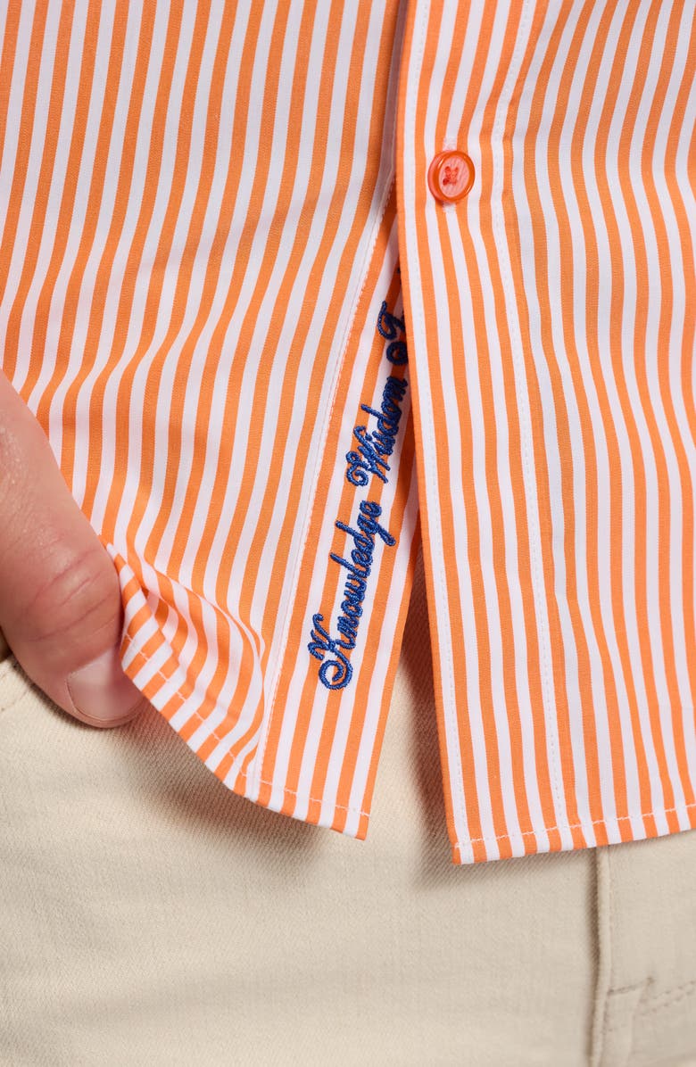Robert Graham Greenwich Stripe Stretch Button-Up Shirt, Alternate, color, Orange