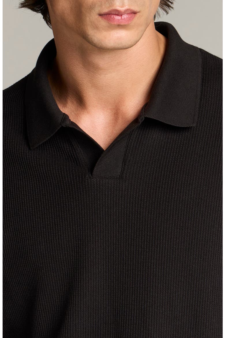 Macro Rib Long Sleeve Johnny Collar Polo, Alternate, color, BLACK