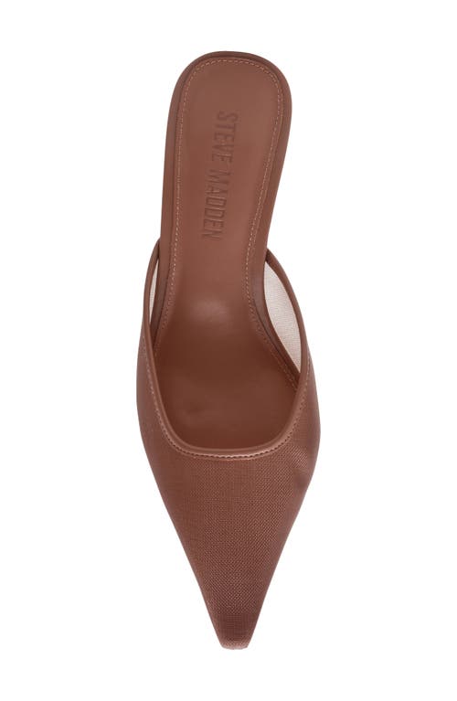 Steve Madden Lisbeth Pointed Toe Mule