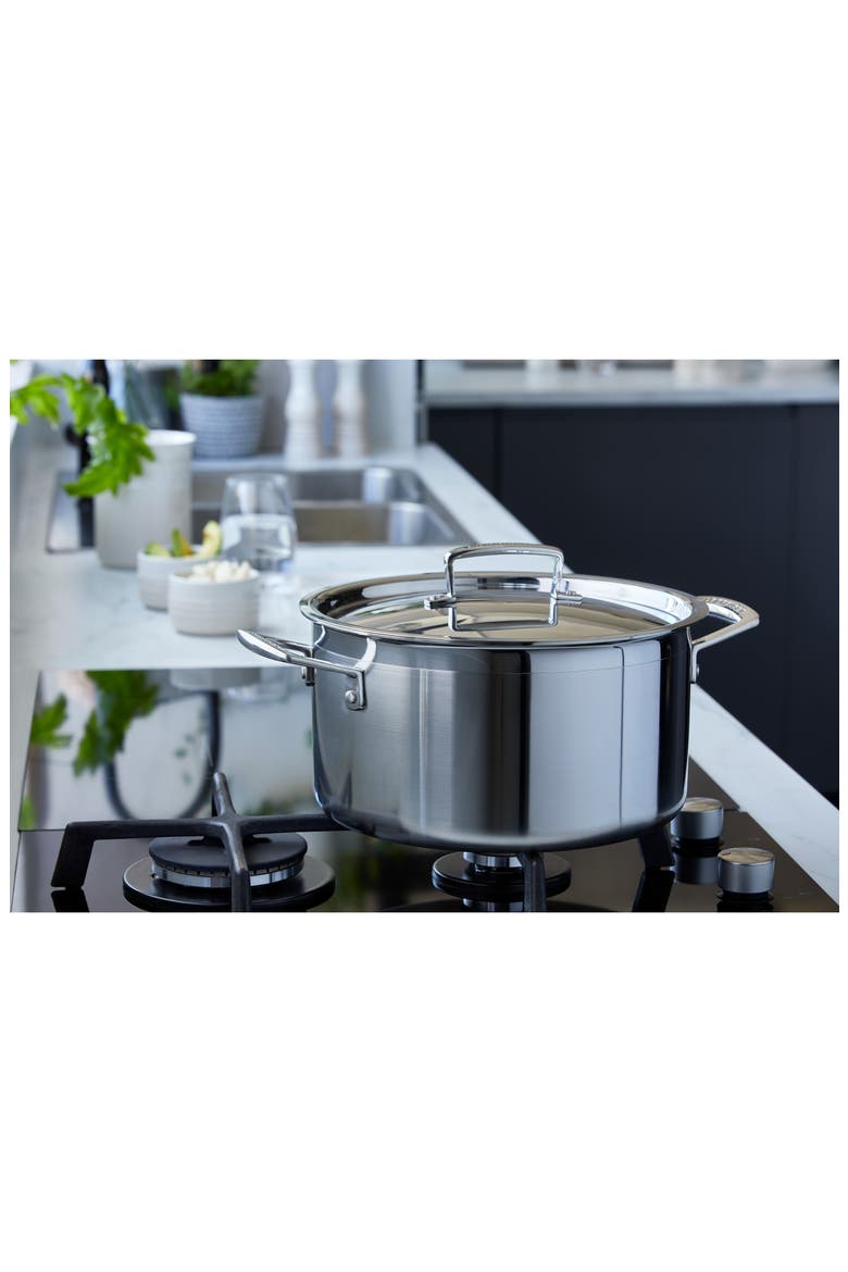 10-Quart Classic Stainless Steel Stock Pot, Alternate, color, STAINLESS STEEL