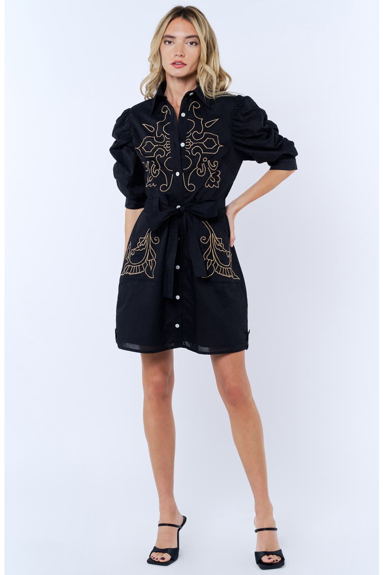 Lucy Embroidered Minidress, Alternate, color, BLACK