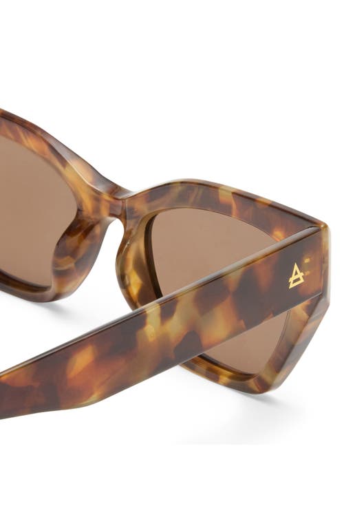 Aire Persei 51mm Cat Eye Sunglasses In Dark Tort