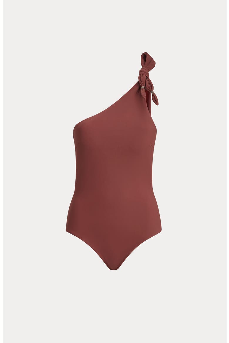 One-piece swimsuit, Main, color, Bordeaux