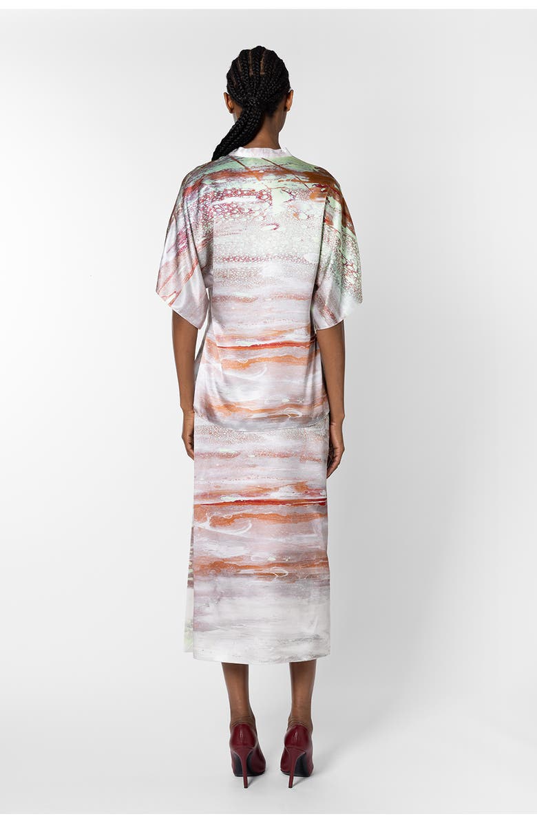 Roksanda Varo Printed Silk Blouse, Alternate, color, Brush Mint / Cinnamon / White