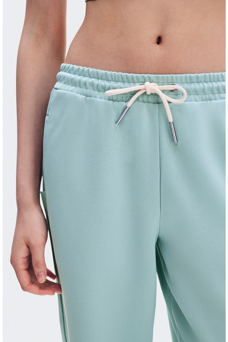 Courtside Wide Leg Pants, Alternate, color, BROOK