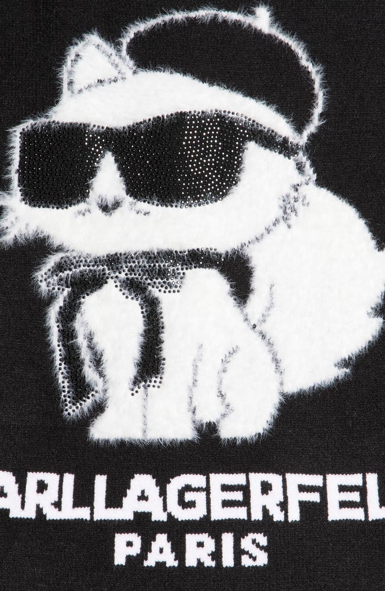 KARL LAGERFELD PARIS C'est Moi Choupette Scarf, Alternate, color,