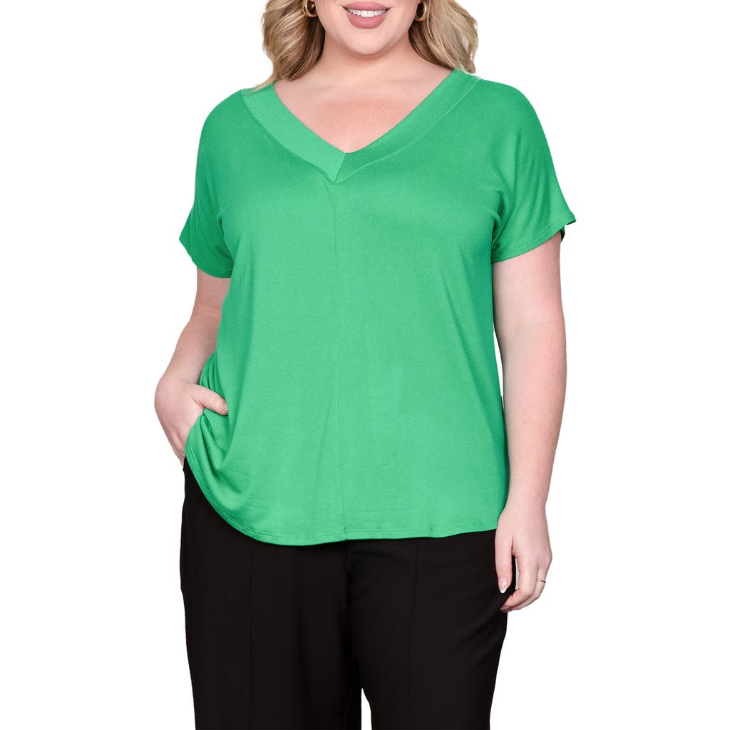 Standards & Practices V-neck Top
