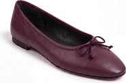 Menina Step Amelie Leather Ballet Flat