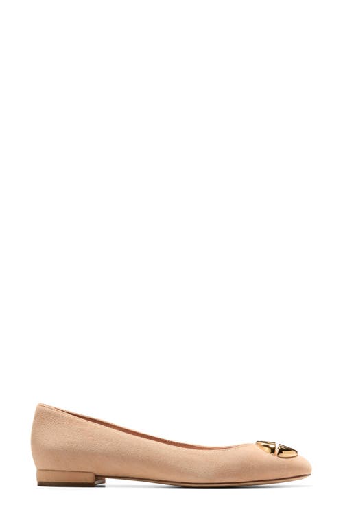 Cole Haan Skylar Ballet Flat