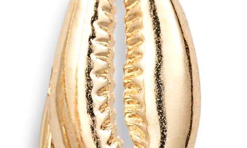 Tasha Cowrie Shell Dangle Hoop Earrings In Gold