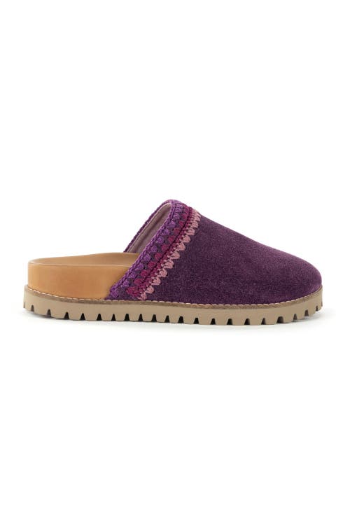 The Sak Bolinas Lug Sole Clog In Purple
