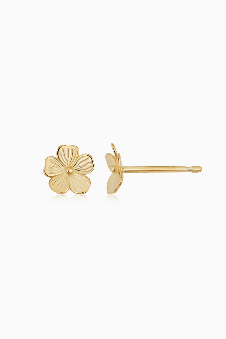 14K Yellow Gold Fresh Bouquet Studs, Alternate, color, Yellow Gold