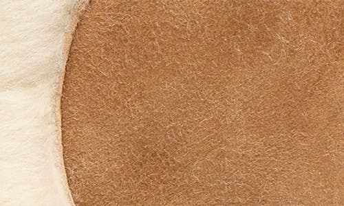 Ugg ® Genuine Shearling Exposed Curve Seam Gloves In Brown