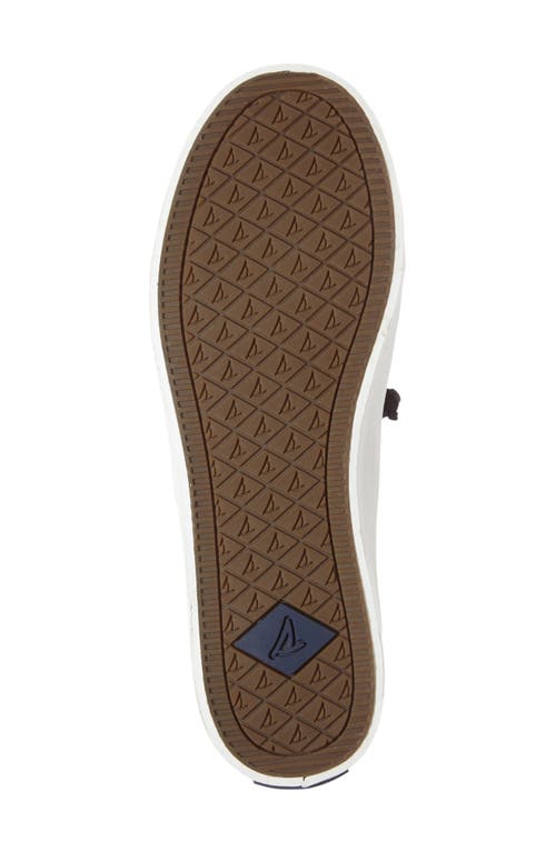 Shop Sperry Crest Vibe Slip-on Sneaker In Black