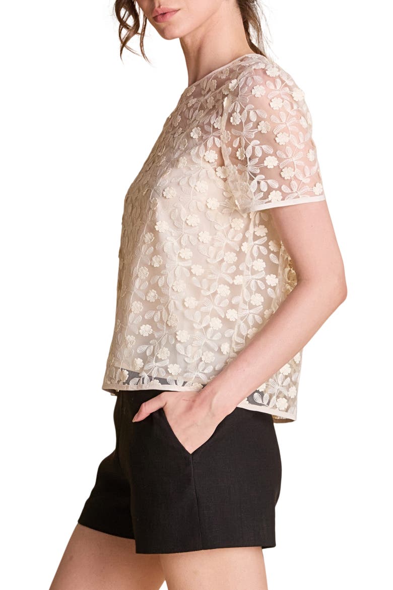 Embroidered Mesh Top, Alternate, color, IVORY