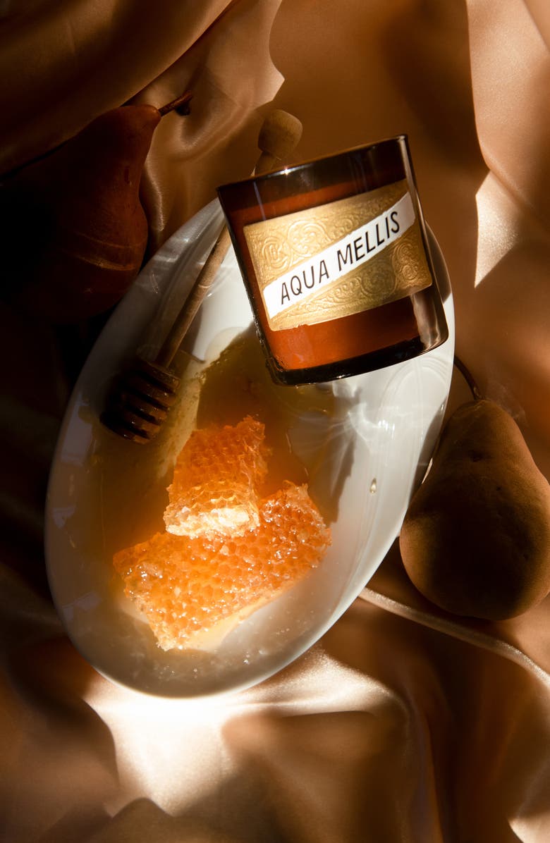 C.O. Bigelow Aqua Mellis Candle, Alternate, color, 