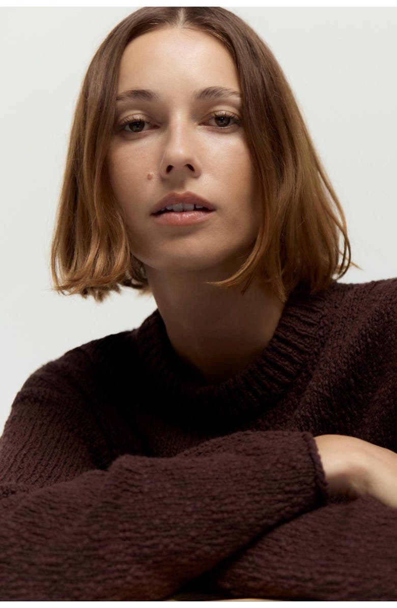 Modern Citizen Sonya Textured Organic Cotton Sweater, Alternate, color, Dark Umber