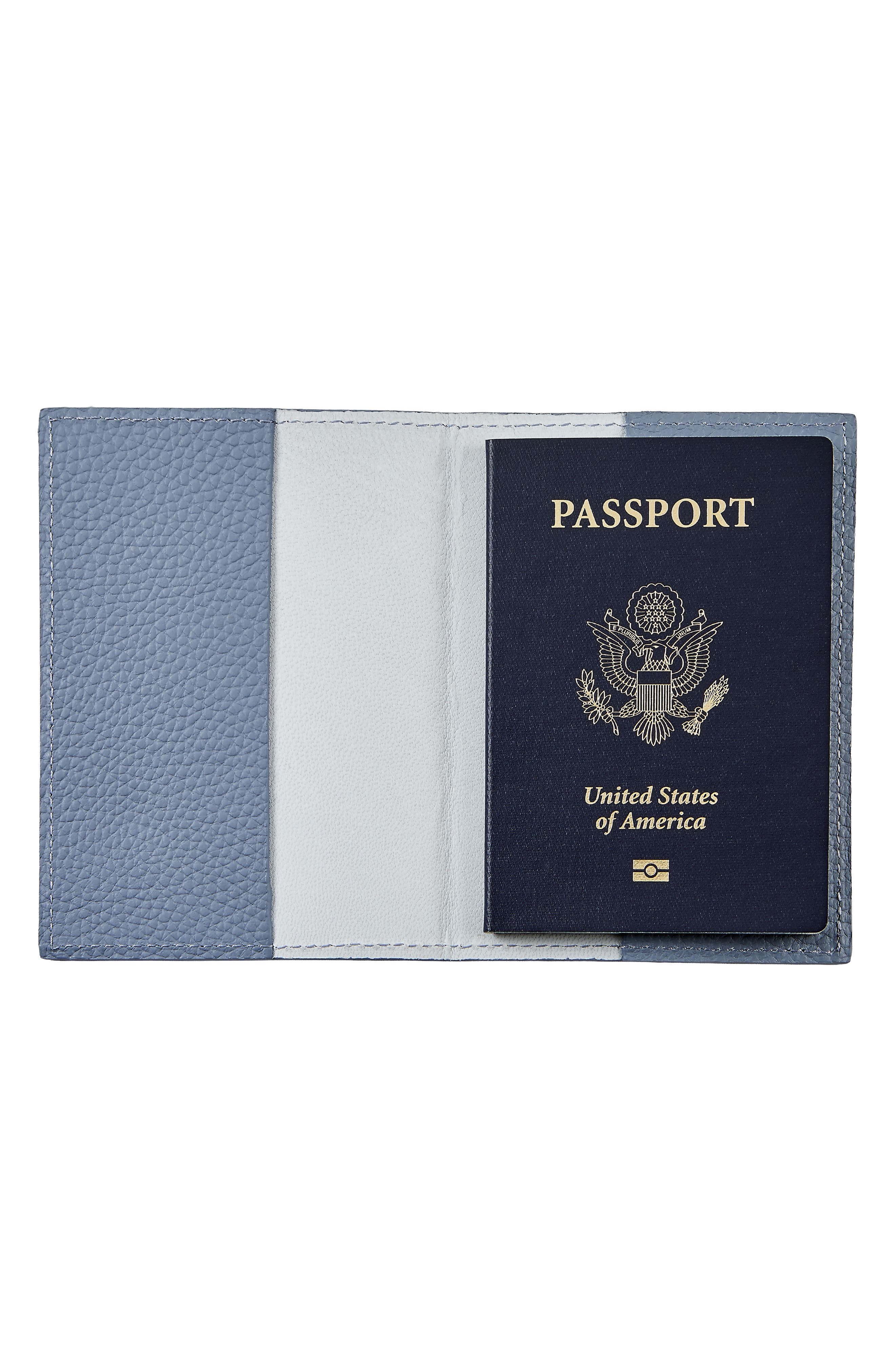 Graphic Image Leather Passport Cover, Alternate, color, Slate Blue