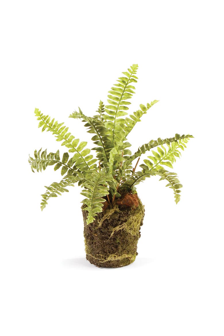 Boston Fern Artificial Drop-In 9", Main, color, Green